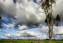 NBA在线直播JRS无插件直播靠谱吗?怎么用?优势在哪?